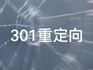 Z-blogPHP 301 chuyển hướng cho hai phương pháp khác nhau được thực hiện bằng mã PHP